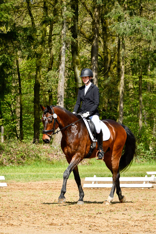 Quali für Goldene Schärpe Ponys in Berge   6+7.5.23 | Lenja Grote Hölmann - Chaccos Cariono_01 