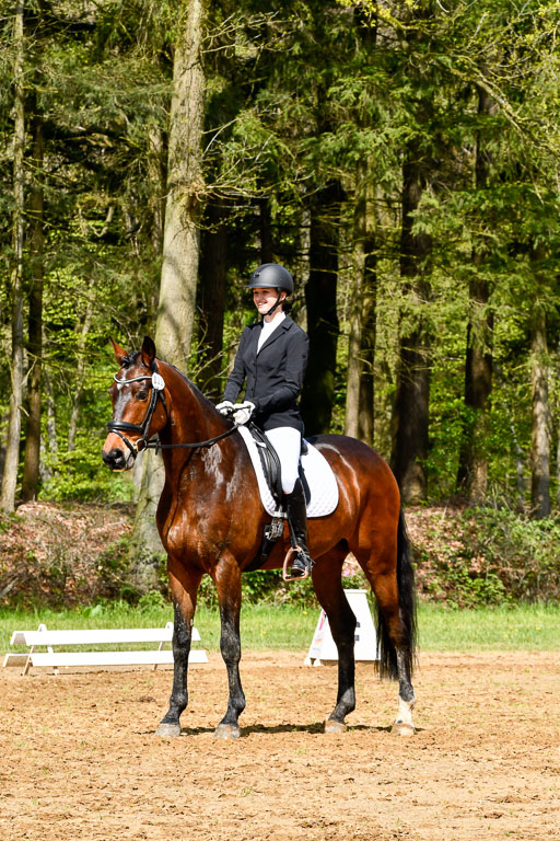 Quali für Goldene Schärpe Ponys in Berge   6+7.5.23 | Lenja Grote Hölmann - Chaccos Cariono_02 