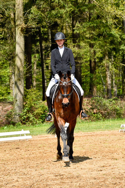 Quali für Goldene Schärpe Ponys in Berge   6+7.5.23 | Lenja Grote Hölmann - Chaccos Cariono_04 