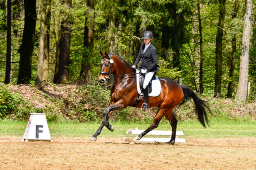 Quali für Goldene Schärpe Ponys in Berge   6+7.5.23 | Lenja Grote Hölmann - Chaccos Cariono_06 
