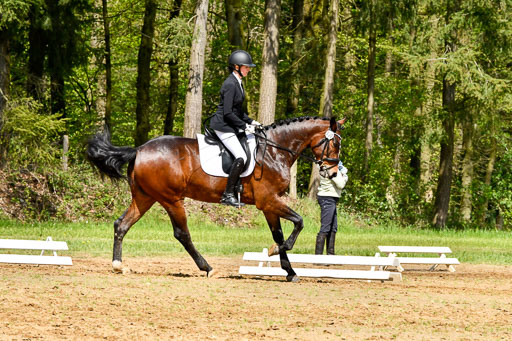 Quali für Goldene Schärpe Ponys in Berge   6+7.5.23 | Lenja Grote Hölmann - Chaccos Cariono_10 
