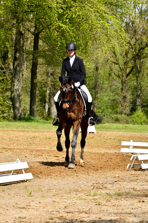 Quali für Goldene Schärpe Ponys in Berge   6+7.5.23 | Lenja Grote Hölmann - Chaccos Cariono_11 
