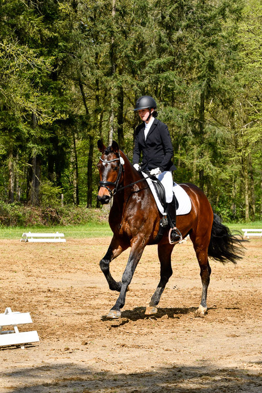 Quali für Goldene Schärpe Ponys in Berge   6+7.5.23 | Lenja Grote Hölmann - Chaccos Cariono_12 