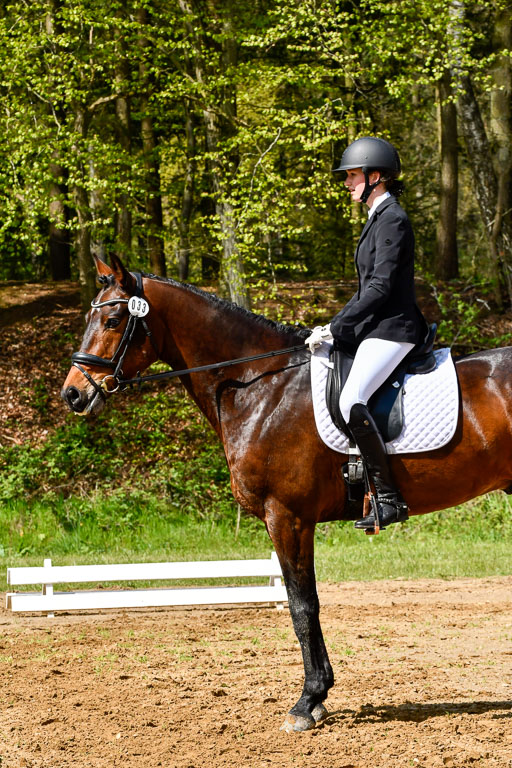 Quali für Goldene Schärpe Ponys in Berge   6+7.5.23 | Lenja Grote Hölmann - Chaccos Cariono_16 