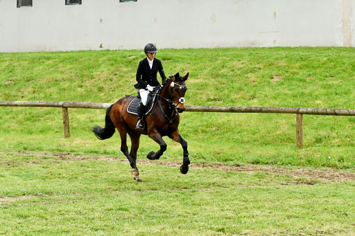 Quali für Goldene Schärpe Ponys in Berge   6+7.5.23 | Lenja Grote Hölmann - Chaccos Cariono_22 