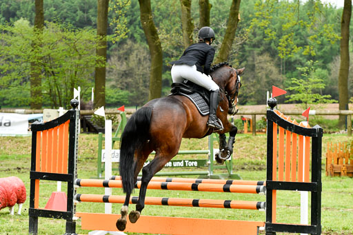 Quali für Goldene Schärpe Ponys in Berge   6+7.5.23 | Lenja Grote Hölmann - Chaccos Cariono_25 