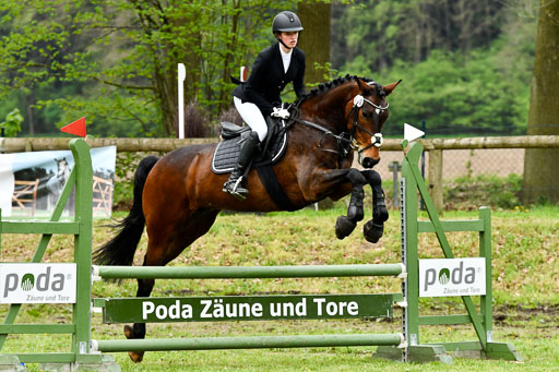 Quali für Goldene Schärpe Ponys in Berge   6+7.5.23 | Lenja Grote Hölmann - Chaccos Cariono_31 