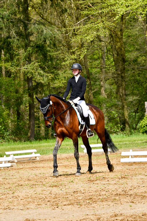 Quali für Goldene Schärpe Ponys in Berge   6+7.5.23 | Linn Barlag - Faridah_01 