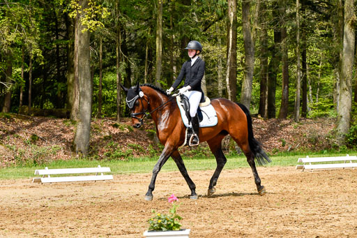 Quali für Goldene Schärpe Ponys in Berge   6+7.5.23 | Linn Barlag - Faridah_03 