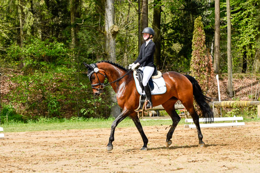 Quali für Goldene Schärpe Ponys in Berge   6+7.5.23 | Linn Barlag - Faridah_04 