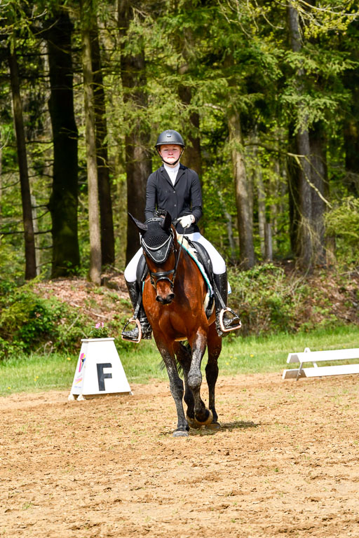 Quali für Goldene Schärpe Ponys in Berge   6+7.5.23 | Linn Barlag - Faridah_05 