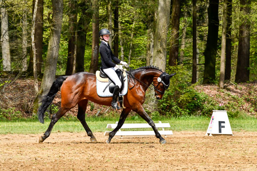 Quali für Goldene Schärpe Ponys in Berge   6+7.5.23 | Linn Barlag - Faridah_08 