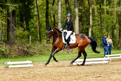 Quali für Goldene Schärpe Ponys in Berge   6+7.5.23 | Linn Barlag - Faridah_09 