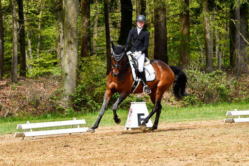 Quali für Goldene Schärpe Ponys in Berge   6+7.5.23 | Linn Barlag - Faridah_10 