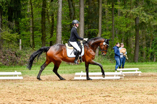 Quali für Goldene Schärpe Ponys in Berge   6+7.5.23 | Linn Barlag - Faridah_12 