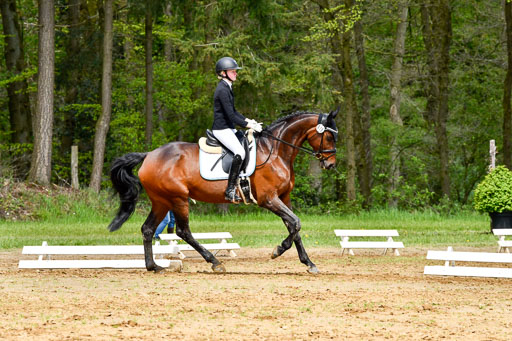 Quali für Goldene Schärpe Ponys in Berge   6+7.5.23 | Linn Barlag - Faridah_13 