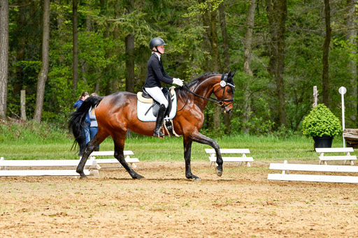 Quali für Goldene Schärpe Ponys in Berge   6+7.5.23 | Linn Barlag - Faridah_14 