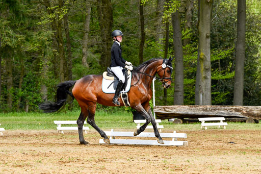Quali für Goldene Schärpe Ponys in Berge   6+7.5.23 | Linn Barlag - Faridah_15 