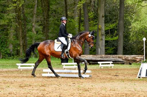 Quali für Goldene Schärpe Ponys in Berge   6+7.5.23 | Linn Barlag - Faridah_16 