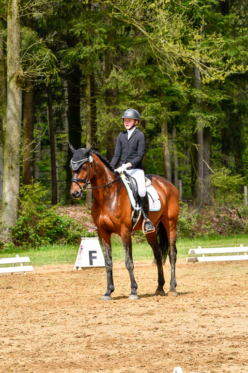 Quali für Goldene Schärpe Ponys in Berge   6+7.5.23 | Linn Barlag - Faridah_19 