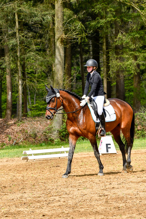 Quali für Goldene Schärpe Ponys in Berge   6+7.5.23 | Linn Barlag - Faridah_20 