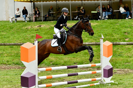 Quali für Goldene Schärpe Ponys in Berge   6+7.5.23 | Linn Barlag - Faridah_23 