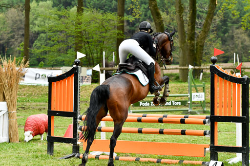 Quali für Goldene Schärpe Ponys in Berge   6+7.5.23 | Linn Barlag - Faridah_24 