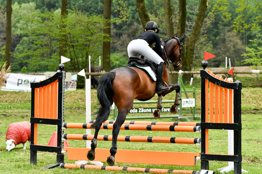Quali für Goldene Schärpe Ponys in Berge   6+7.5.23 | Linn Barlag - Faridah_25 