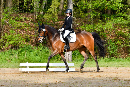 Quali für Goldene Schärpe Ponys in Berge   6+7.5.23 | Lotta Alkabes - Valmiva_10 