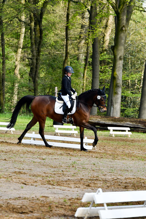 Quali für Goldene Schärpe Ponys in Berge   6+7.5.23 | Lotta Alkabes - Valmiva_11 
