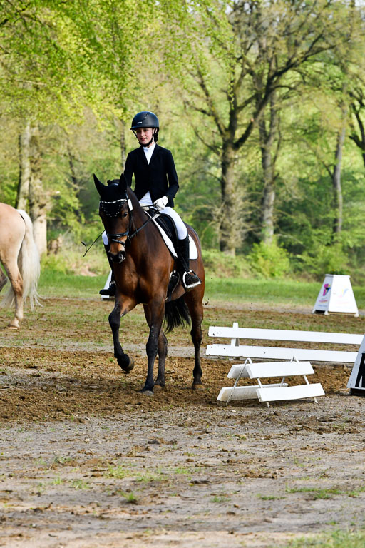 Quali für Goldene Schärpe Ponys in Berge   6+7.5.23 | Lotta Alkabes - Valmiva_12 