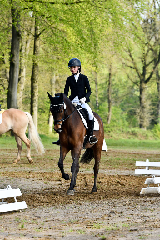 Quali für Goldene Schärpe Ponys in Berge   6+7.5.23 | Lotta Alkabes - Valmiva_13 