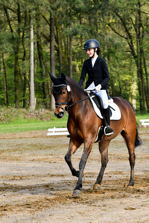 Quali für Goldene Schärpe Ponys in Berge   6+7.5.23 | Lotta Alkabes - Valmiva_14 