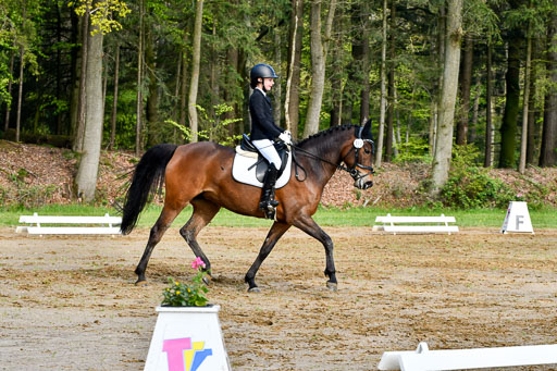Quali für Goldene Schärpe Ponys in Berge   6+7.5.23 | Lotta Alkabes - Valmiva_15 