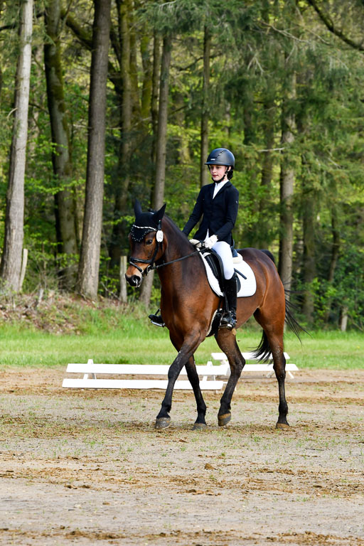 Quali für Goldene Schärpe Ponys in Berge   6+7.5.23 | Lotta Alkabes - Valmiva_16 
