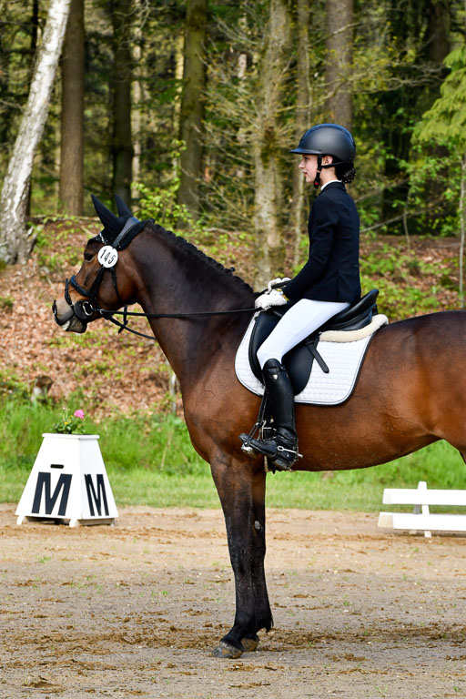 Quali für Goldene Schärpe Ponys in Berge   6+7.5.23 | Lotta Alkabes - Valmiva_19 