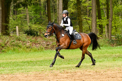 Quali für Goldene Schärpe Ponys in Berge   6+7.5.23 | Lotta Alkabes - Valmiva_65 