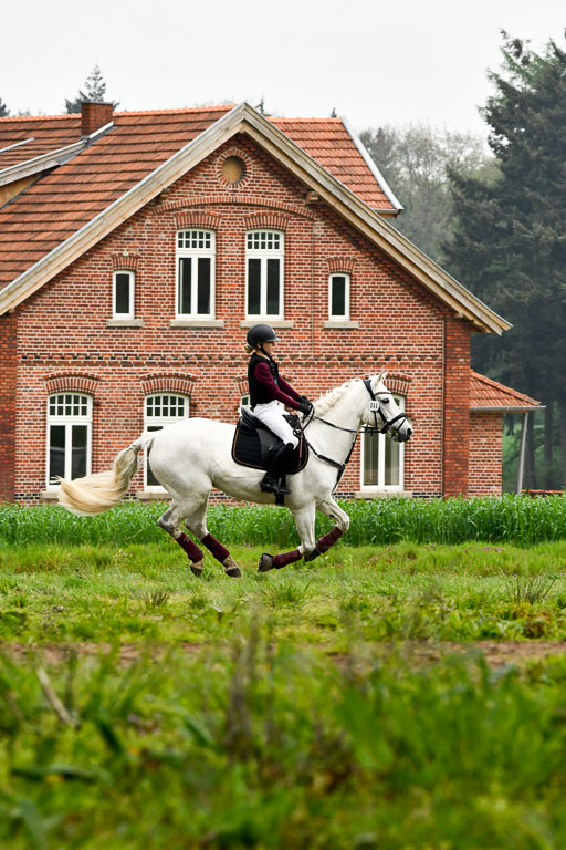 Quali für Goldene Schärpe Ponys in Berge   6+7.5.23 | Louise Hellmers - Cloonaghmore Lad_31 