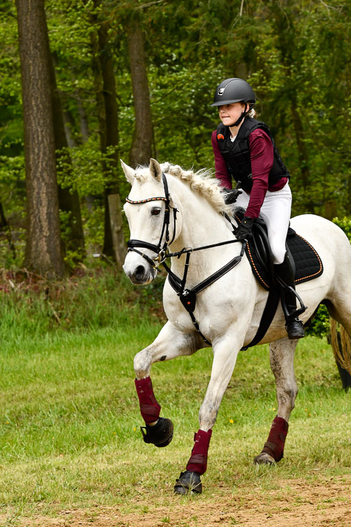 Quali für Goldene Schärpe Ponys in Berge   6+7.5.23 | Louise Hellmers - Cloonaghmore Lad_42 