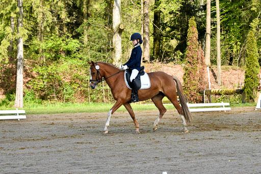 Quali für Goldene Schärpe Ponys in Berge   6+7.5.23 | Louise Pompey mit Sweety de Luxe_01 