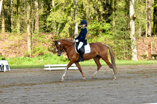 Quali für Goldene Schärpe Ponys in Berge   6+7.5.23 | Louise Pompey mit Sweety de Luxe_02 