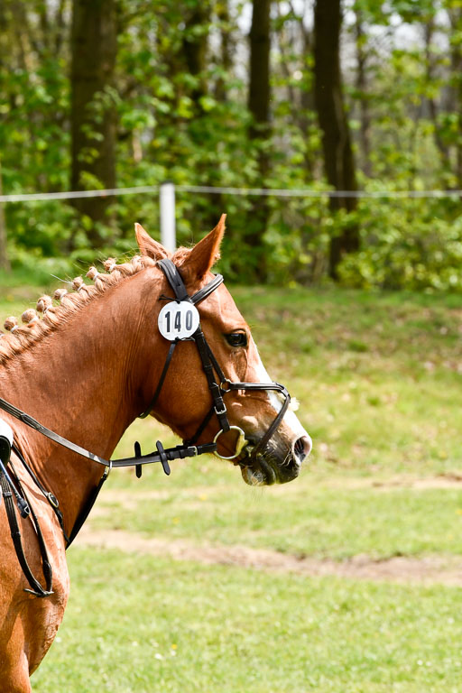 Quali für Goldene Schärpe Ponys in Berge   6+7.5.23 | Louise Pompey mit Sweety de Luxe_17 