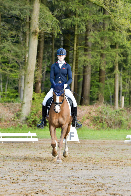 Quali für Goldene Schärpe Ponys in Berge   6+7.5.23 | Madison Joelle Kirstein - Simba_03 
