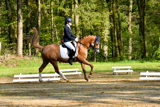 Quali für Goldene Schärpe Ponys in Berge   6+7.5.23 | Madison Joelle Kirstein - Simba_14 