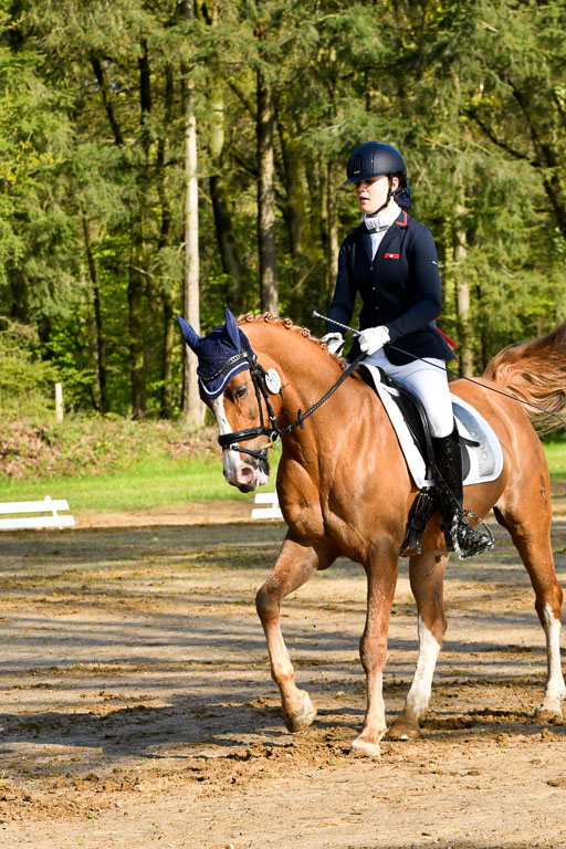 Quali für Goldene Schärpe Ponys in Berge   6+7.5.23 | Madison Joelle Kirstein - Simba_17 