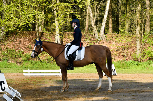 Quali für Goldene Schärpe Ponys in Berge   6+7.5.23 | Madison Joelle Kirstein - Simba_19 