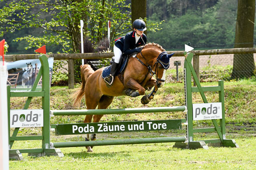 Quali für Goldene Schärpe Ponys in Berge   6+7.5.23 | Madison Joelle Kirstein - Simba_28 