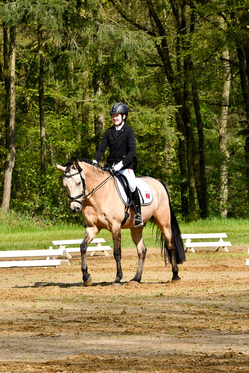Quali für Goldene Schärpe Ponys in Berge   6+7.5.23 | Malin Brackmann - Gino 
