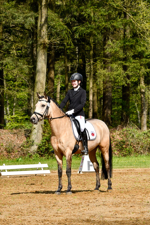 Quali für Goldene Schärpe Ponys in Berge   6+7.5.23 | Malin Brackmann - Gino_02 