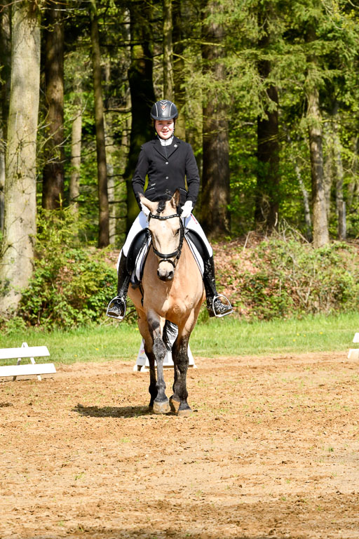Quali für Goldene Schärpe Ponys in Berge   6+7.5.23 | Malin Brackmann - Gino_03 